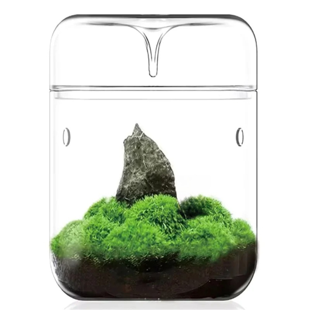 Desktop Glass Micro Landscape  - Home Office With View review and price