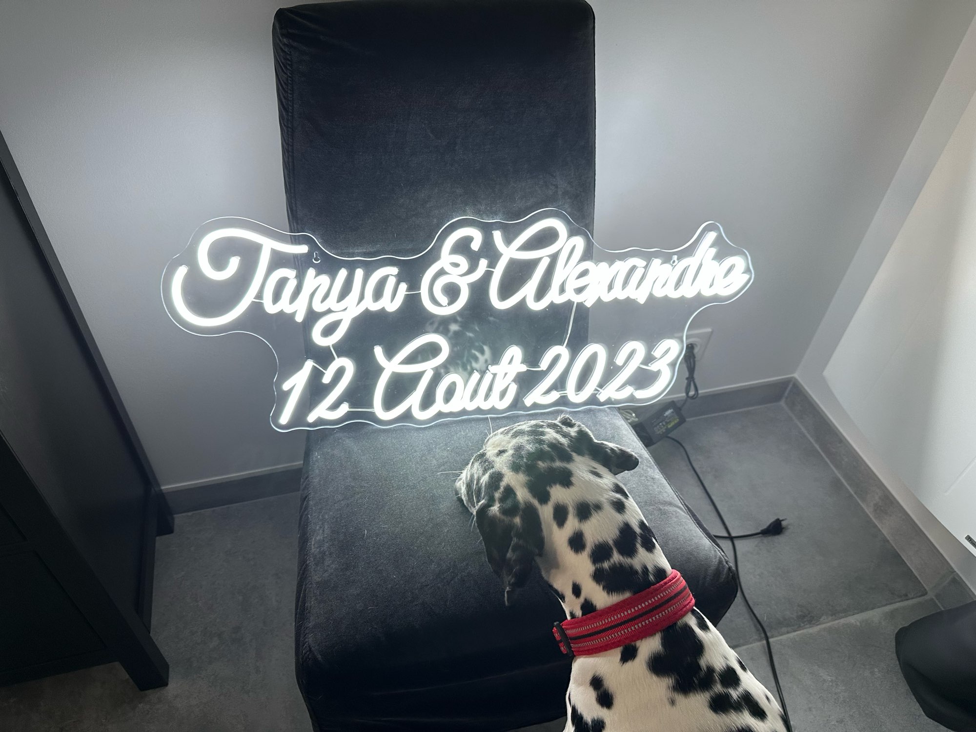 Custom Neon Sign LED Neon Ligh - Home Office Logo review and price